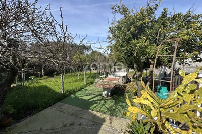 /international/pt/oliveira-de-azemeis-aveiro-310106423619/
