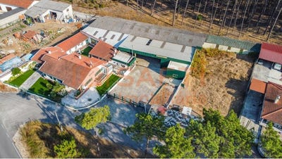/international/pt/pataias-e-martinganca-leiria-district-310106626626/