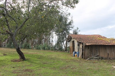 /international/pt/gondomar-braga-310105187269/