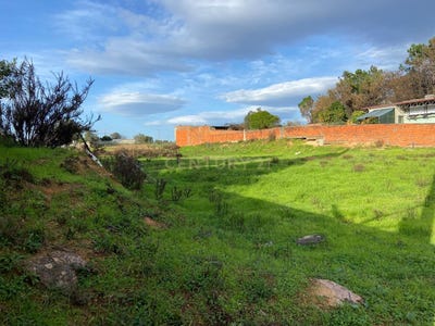 /international/pt/angeja-aveiro-310095736787/?lang=zh-tw