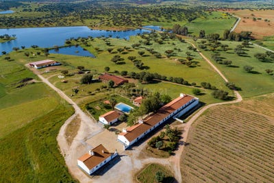 /international/pt/herdade-do-foro-do-espanhol-santiago-maior-portalegre-310104862044/