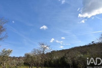 /international/pt/santarem-santarem-310106625412/