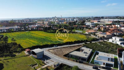 /international/pt/argivai-porto-310108210932/