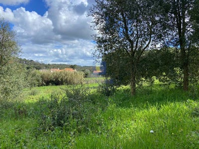 /international/pt/salir-de-matos-leiria-310098443166/