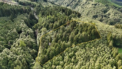 /international/pt/ilha-de-sao-miguel-azores-310098439291/