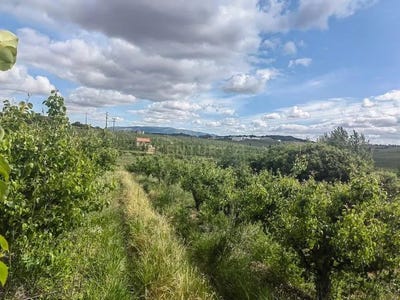/international/pt/rua-jose-timotio-carvalhal-santarem-310101355841/
