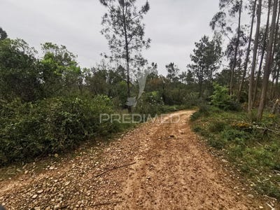 /international/pt/atalaia-vila-nova-da-barquinha-santarem-310100040155/