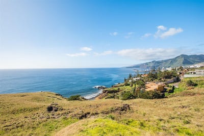 /international/pt/canical-madeira-310103154630/