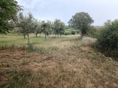 /international/pt/vcg9-47-salgueiro-do-campo-portugal-salgueiro-do-campo-castelo-branco-310107675593/