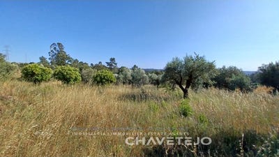 /international/pt/sao-pedro-de-tomar-santarem-310098200763/