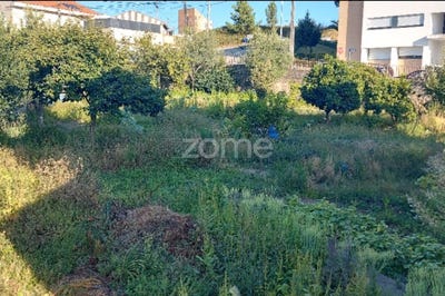 /international/pt/maia-porto-310108318805/