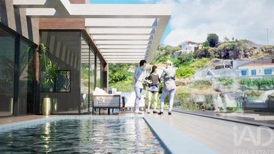/international/pt/ilha-da-madeira-madeira-310093922965/