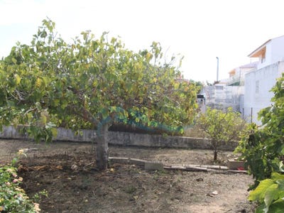 /international/pt/montenegro-faro-310103585242/