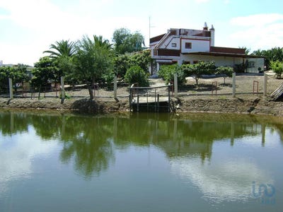 /international/pt/beja-beja-120085712545/