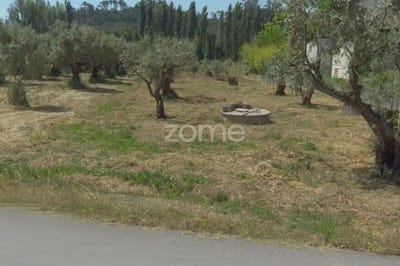 /international/pt/pombal-braga-310108511667/