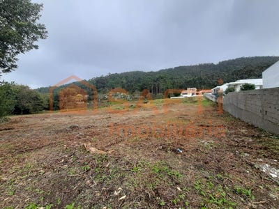 /international/pt/carreco-viana-do-castelo-310100489805/