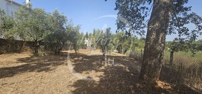 /international/pt/maiorga-leiria-120086833852/