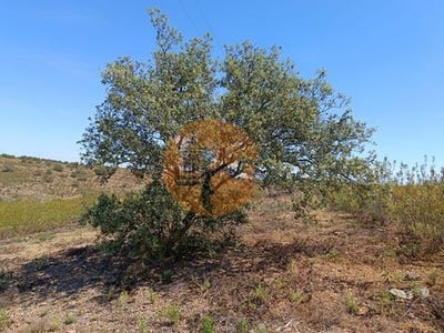 /international/pt/alcarias-castro-marim-faro-120086462048/