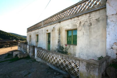 /international/pt/zebro-de-baixo-sao-bartolomeu-de-messines-faro-310105183787/
