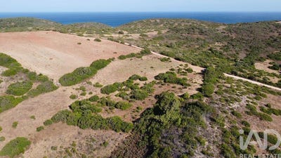 /international/pt/faro-faro-310102841483/