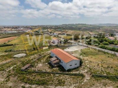 /international/pt/mafra-lisbon-310108453622/