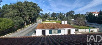 /international/pt/bucelas-lisbon-310101186616/