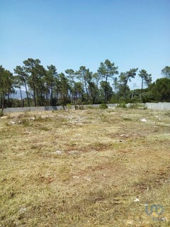 /international/pt/santarem-santarem-310100105339/