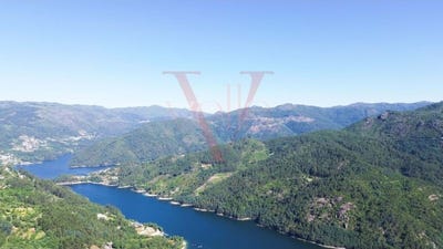 /international/pt/canicada-e-soengas-braga-310104170848/