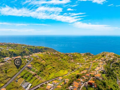 /international/pt/calheta-madeira-310096676686/