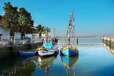/international/pt/rua-rui-de-pina-15a-montijo-portugal-montijo-e-afonsoeiro-setubal-municipality-310103037323/
