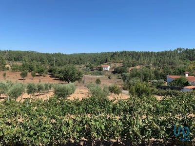 /international/pt/castelo-branco-braganca-310094464599/