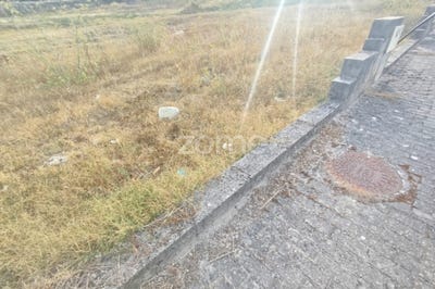 /international/pt/mangualde-viseu-310101946343/