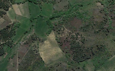 /international/pt/sao-pedro-de-agostem-portugal-sao-pedro-de-agostem-vila-real-310102637661/