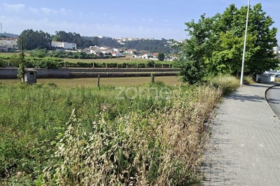/international/pt/trofa-porto-310108728701/?lang=es