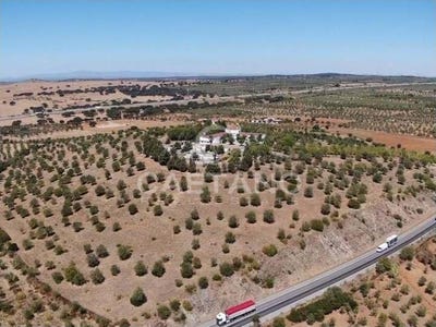 /international/pt/vila-boim-portalegre-310108649045/