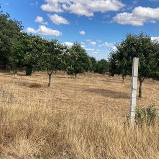 /international/pt/5300-751-pinela-portugal-pinela-braganca-310103684690/