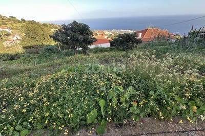 /international/pt/santa-cruz-madeira-310105538786/