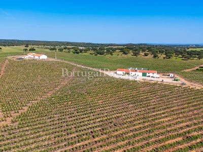 /international/pt/sao-mancos-e-sao-vicente-do-pigeiro-evora-310109022627/?lang=de
