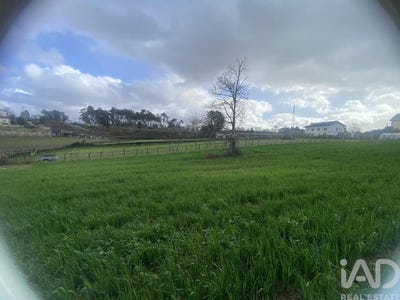 /international/pt/viana-do-castelo-viana-do-castelo-310106392382/