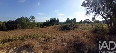 /international/pt/santarem-santarem-120086919661/