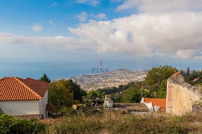 /international/pt/monte-madeira-310107624125/