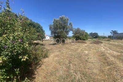 /international/pt/figueira-da-foz-braganca-310109170540/