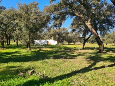/international/pt/santiago-do-cacem-setubal-municipality-310106164617/