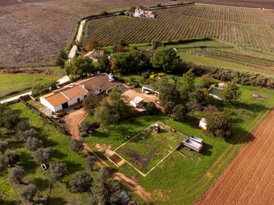 /international/pt/borba-matriz-evora-310104864929/