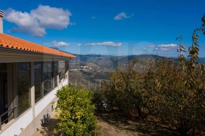 /international/pt/lamego-porto-310098802287/