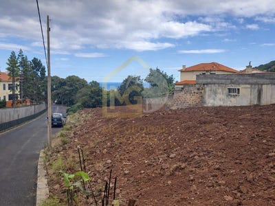 /international/pt/sao-roque-madeira-310107062374/
