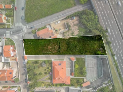 /international/pt/perosinho-porto-310107904602/