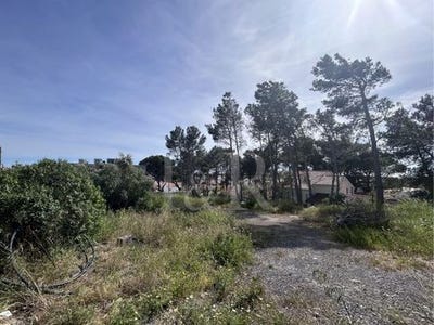 /international/pt/murches-cascais-lisbon-310107447736/