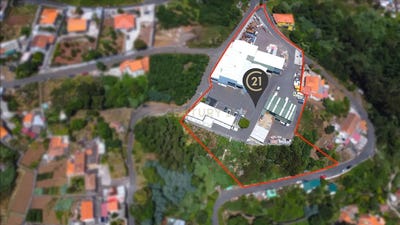 /international/pt/9135-056-camacha-portugal-ilha-da-madeira-madeira-310105104459/