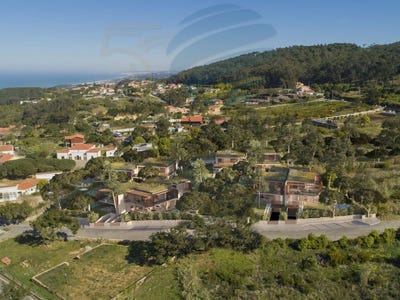/international/pt/colares-lisbon-310107774518/